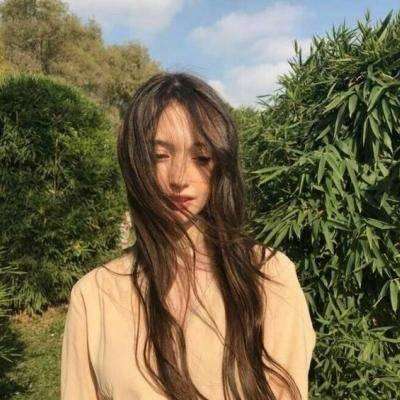 天地决手游私服下载