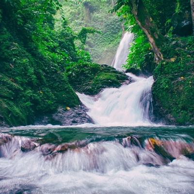 我是陆锦溪橙光下载