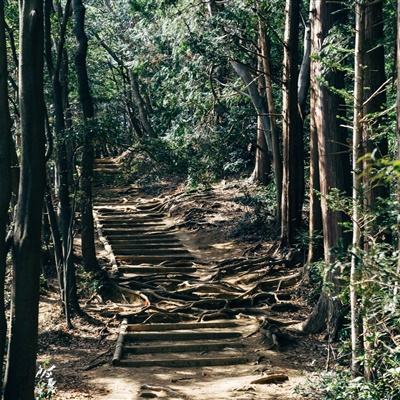 武士大作战io游戏下载