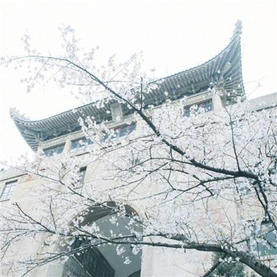 地藏火龙红包版(暂未上线)v3.0 安卓版