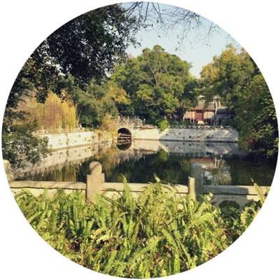 彩虹冒险岛手游变态版下载